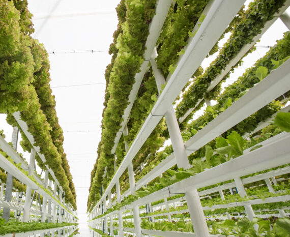 vertical_farm_thumbnail